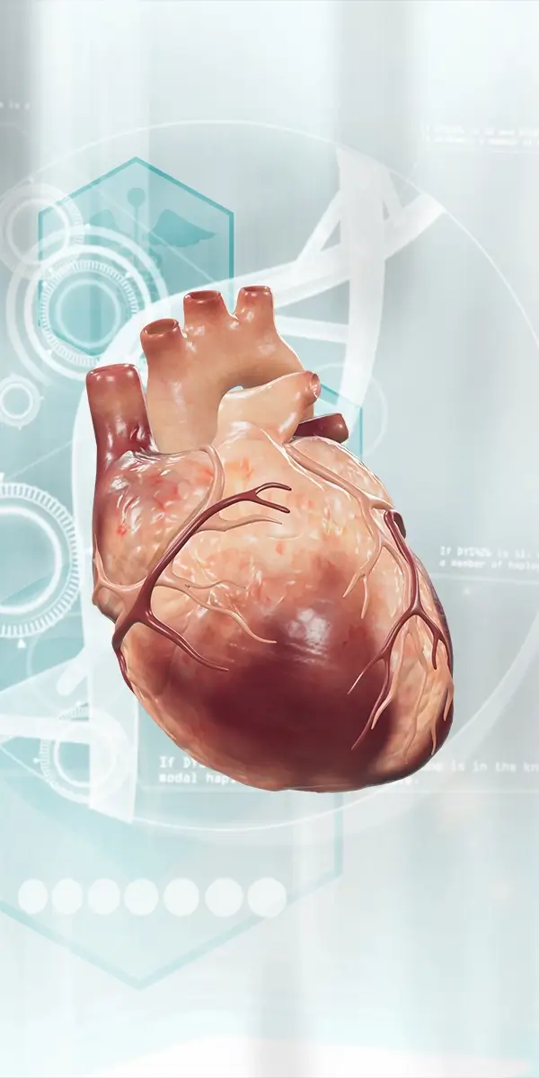 A digitally rendered 3D design of a human heart with detailed anatomy showcased against a futuristic background for e-learning